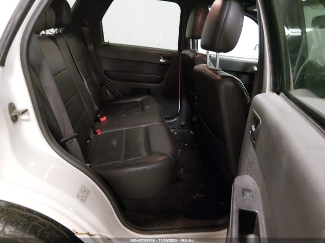 Ford Escape Limited Image 12