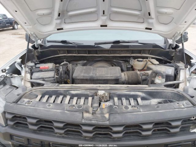 Chevrolet Silverado 1500 Work Truck Image 12