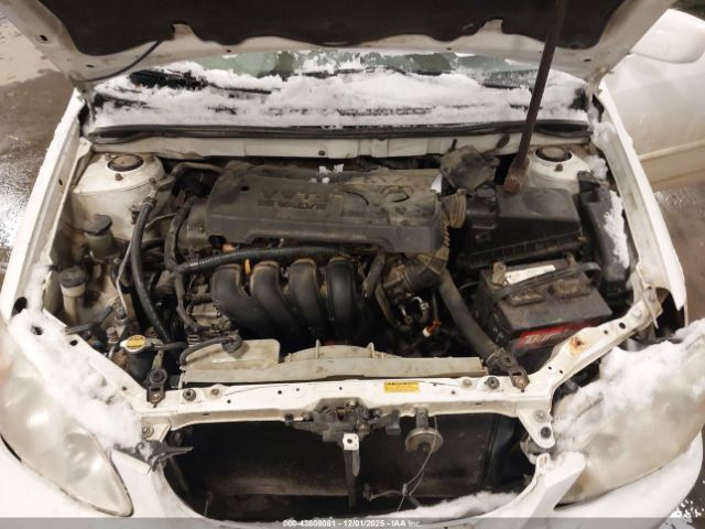 Toyota Corolla Le Image 11