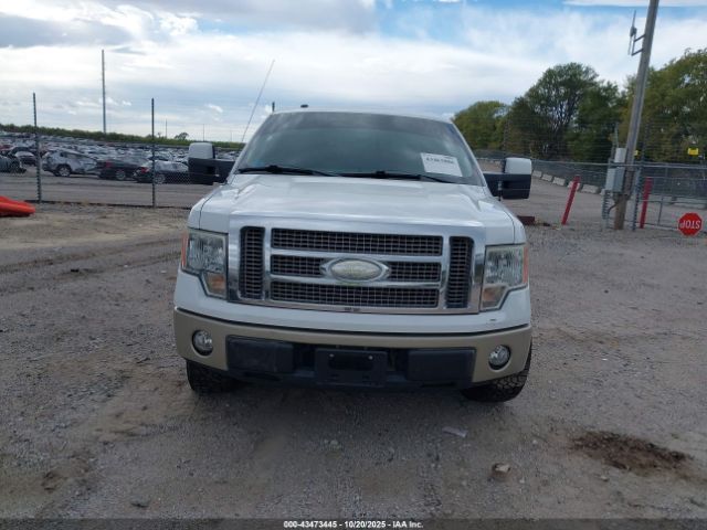Ford F-150 Image 6