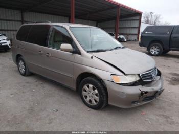  Salvage Honda Odyssey