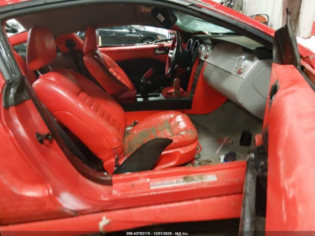 Ford Mustang Gt Image 7