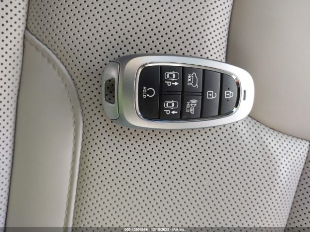 Hyundai PALISADE Calligraphy Image 11