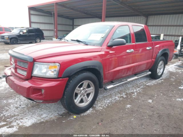 Dodge Dakota Image 14
