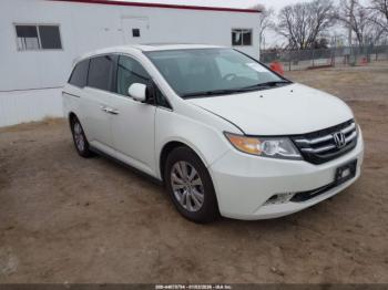  Salvage Honda Odyssey