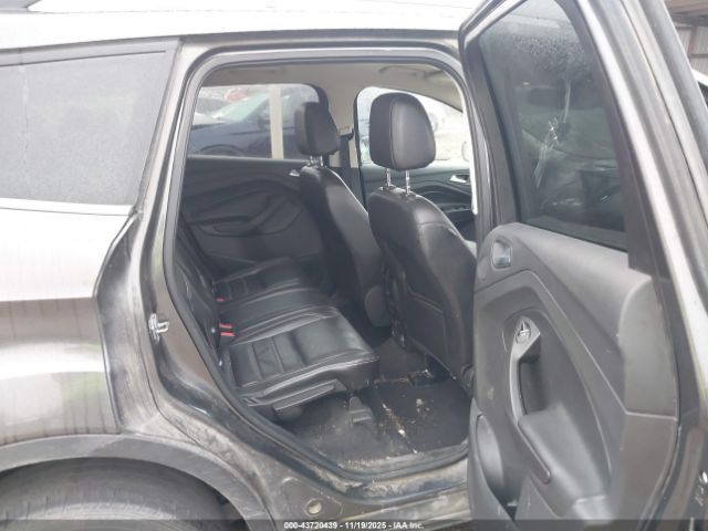 Ford Escape Titanium Image 6