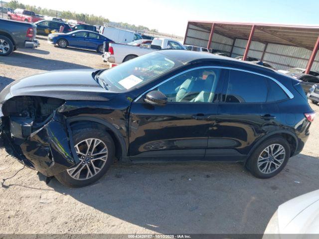 Ford Escape Sel Image 3