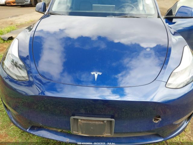 Tesla Model Y Image 3