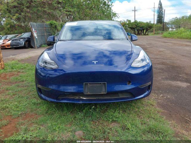 Tesla Model Y Image 12