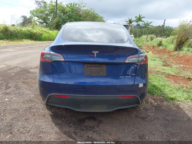 Tesla Model Y Image 7