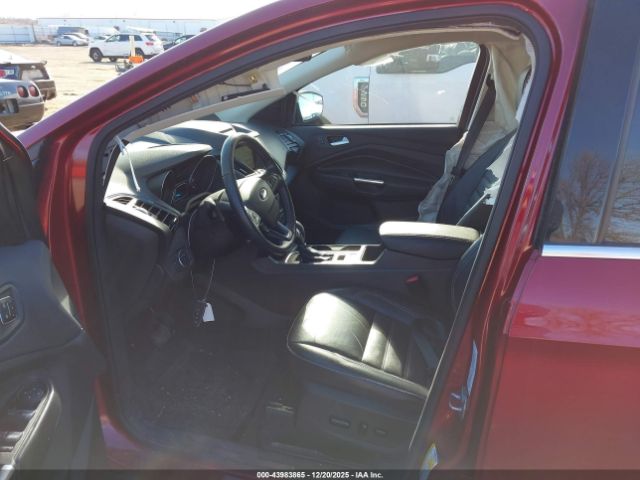 Ford Escape Titanium Image 4