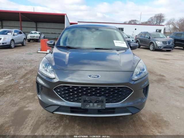 Ford Escape Se Image 7